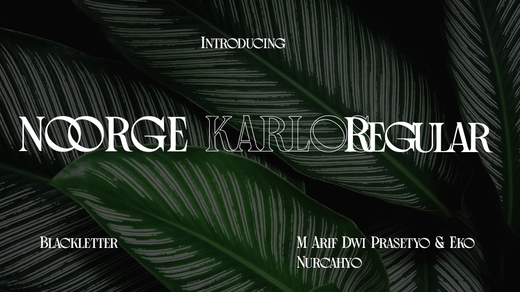 Noorge Karlos Regular Font Sample Image 1