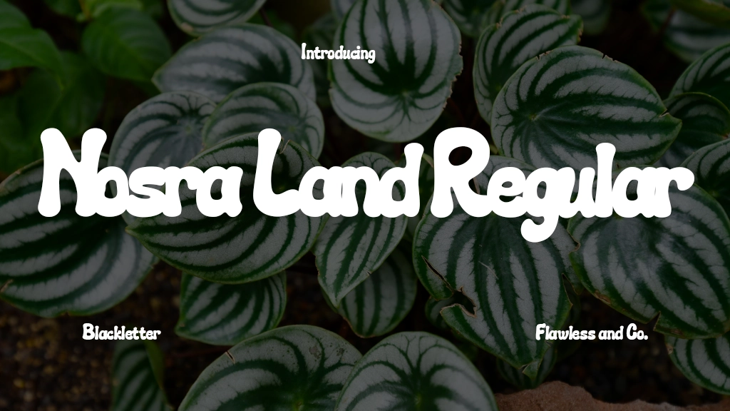 Nosra Land Regular Font Sample Image 1