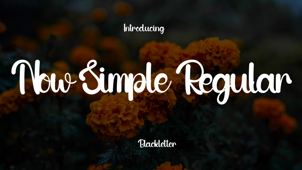 Now Simple Regular Font Sample Image 1