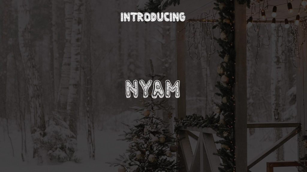 Nyam Font Sample Images  1