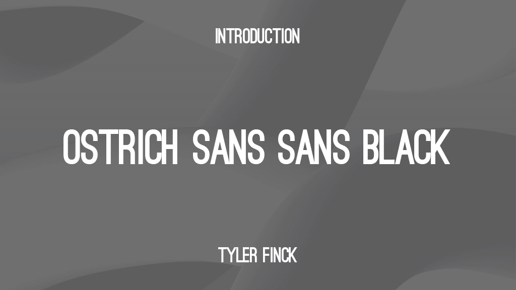 Ostrich Sans Sans Black Font Sample Image 1