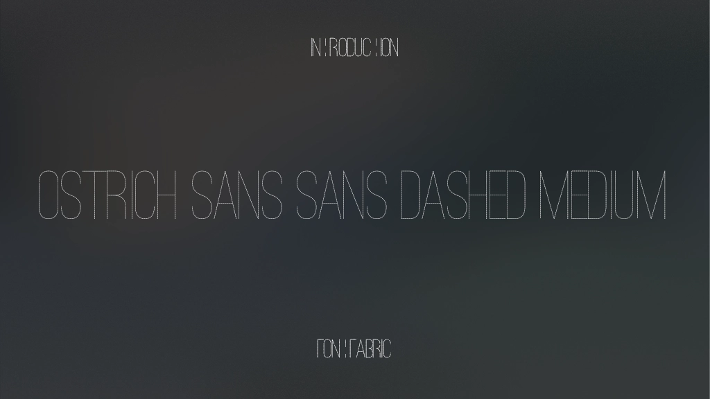 Ostrich Sans Sans Dashed Medium 字体样本图像  1