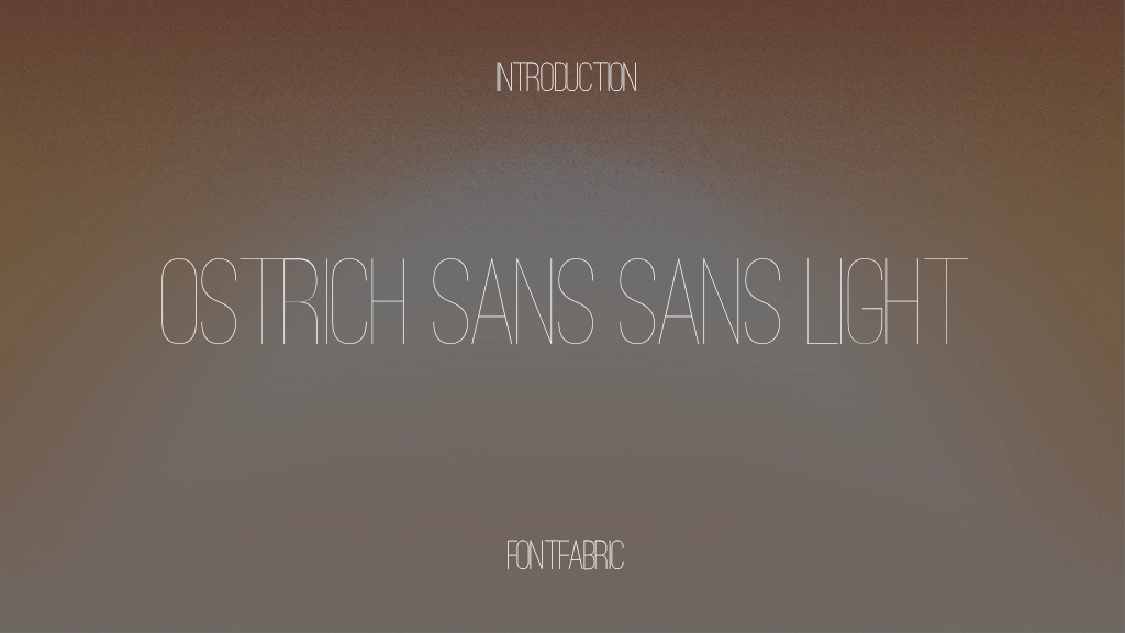 Ostrich Sans Sans Light Font Sample Image 1