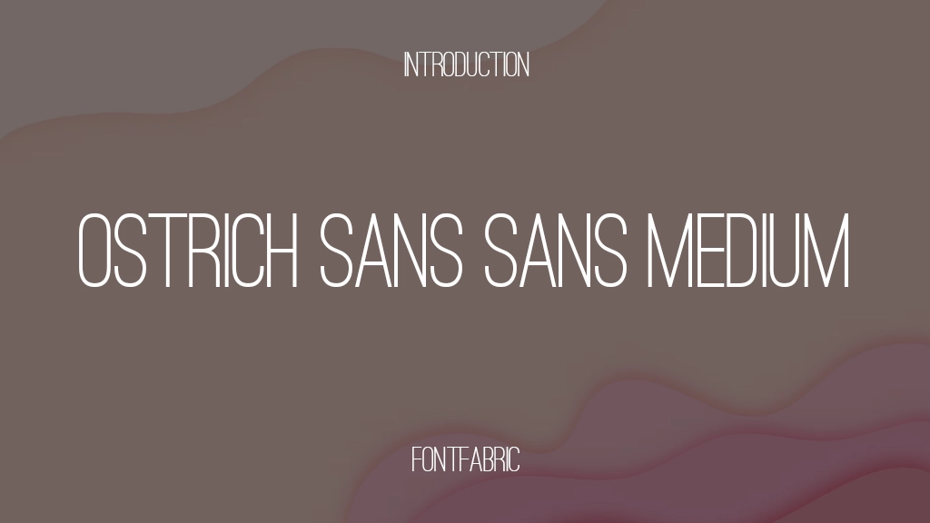 Ostrich Sans Sans Medium Font Sample Image 1