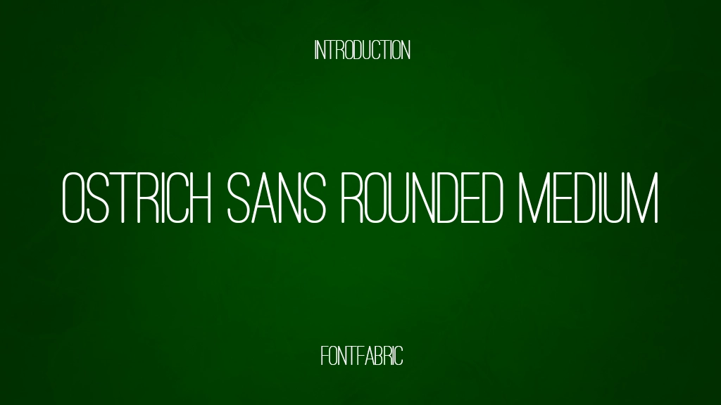 Ostrich Sans Sans Rounded Medium Font Sample Image 1