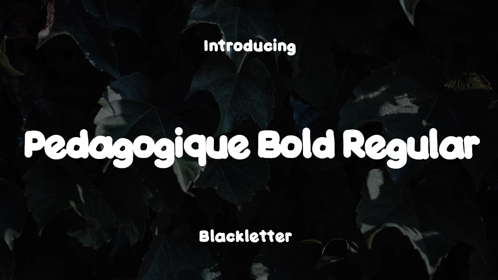 Pedagogique Bold Regular Font Sample Image 1