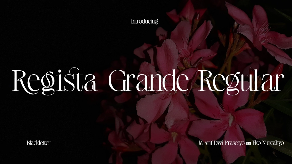 Regista Grande Regular Font Sample Image 1