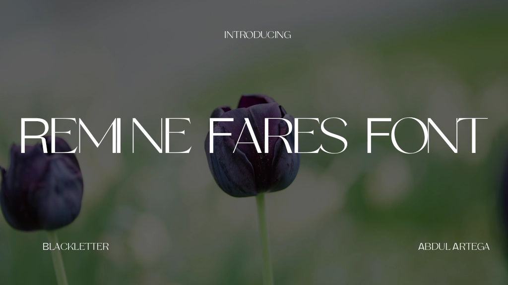 Remine Fares Font Font Sample Image 1