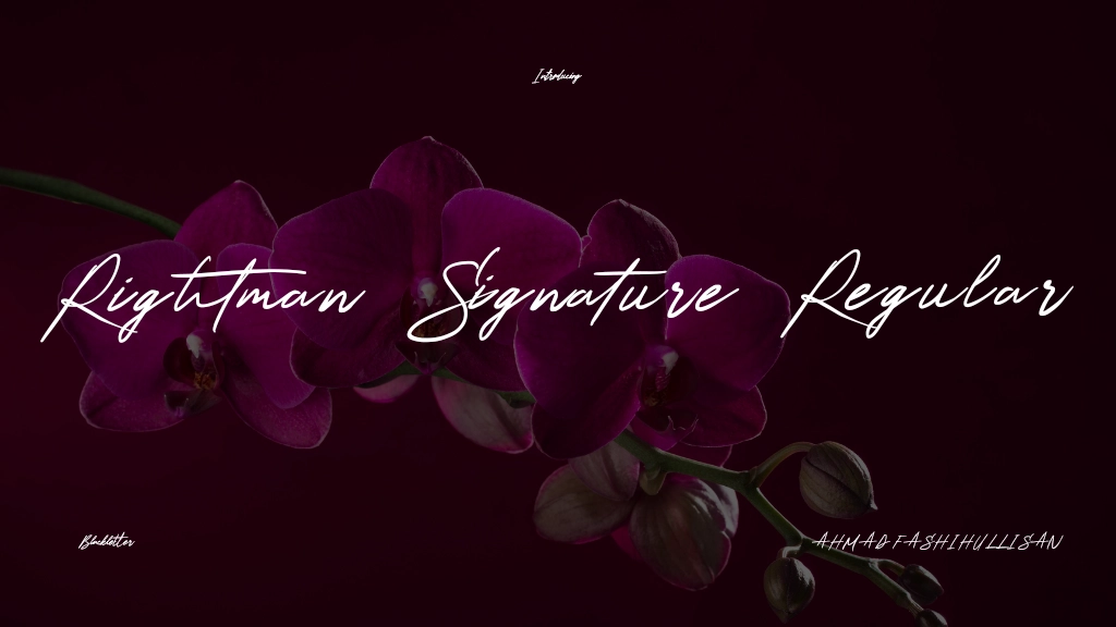 Rightman Signature Regular Font Sample Image 1