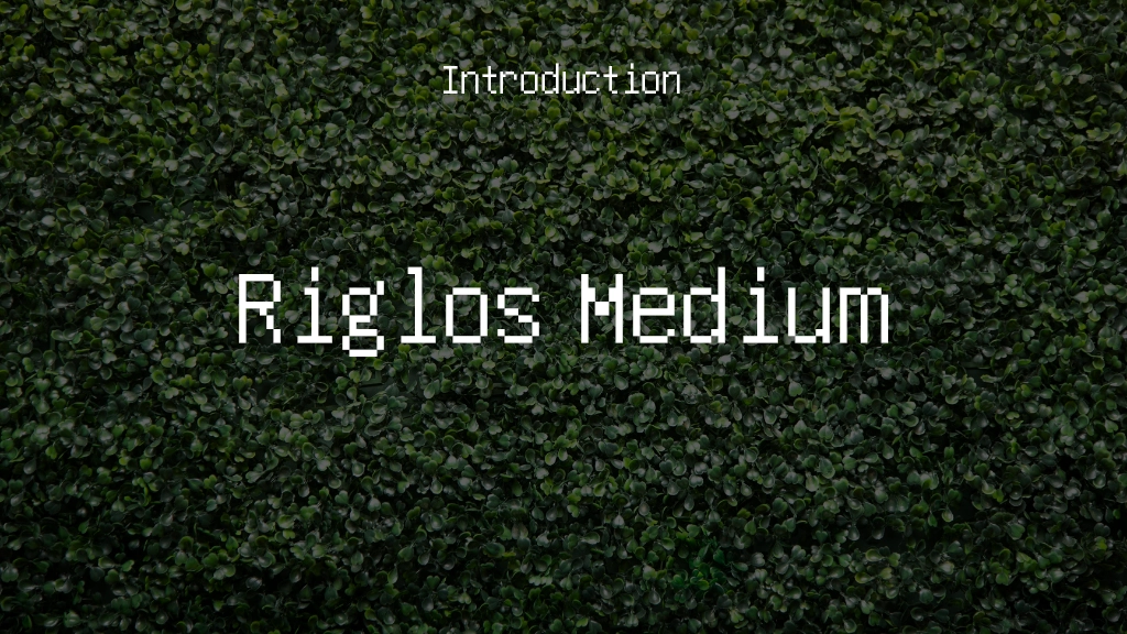 Riglos Medium Font Sample Images  1