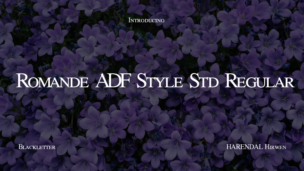 Romande ADF Style Std Regular Font Sample Image 1