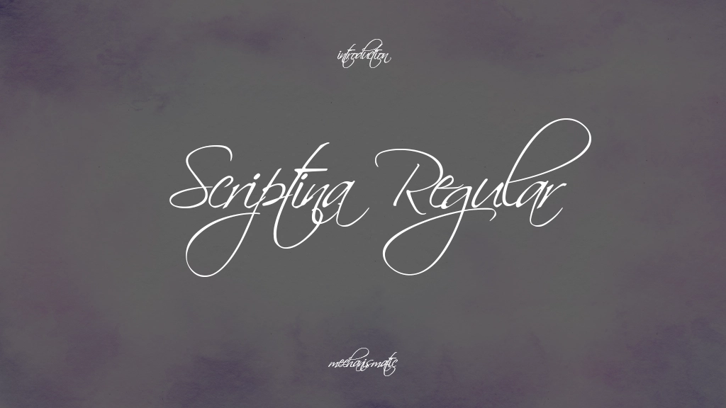 Scriptina Regular Font Sample Image 1