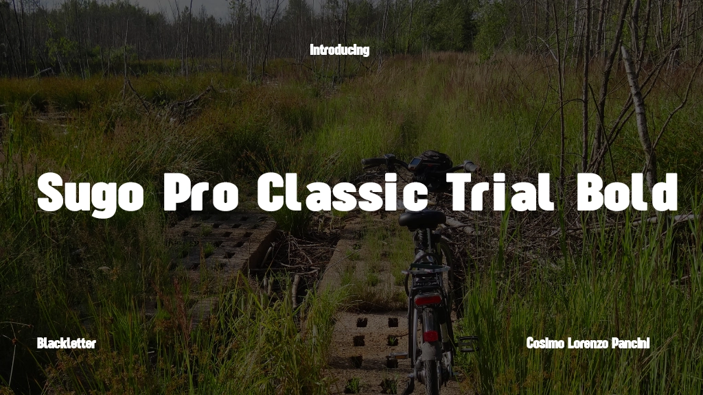 Sugo Pro Classic Trial Bold Font Sample Image 1