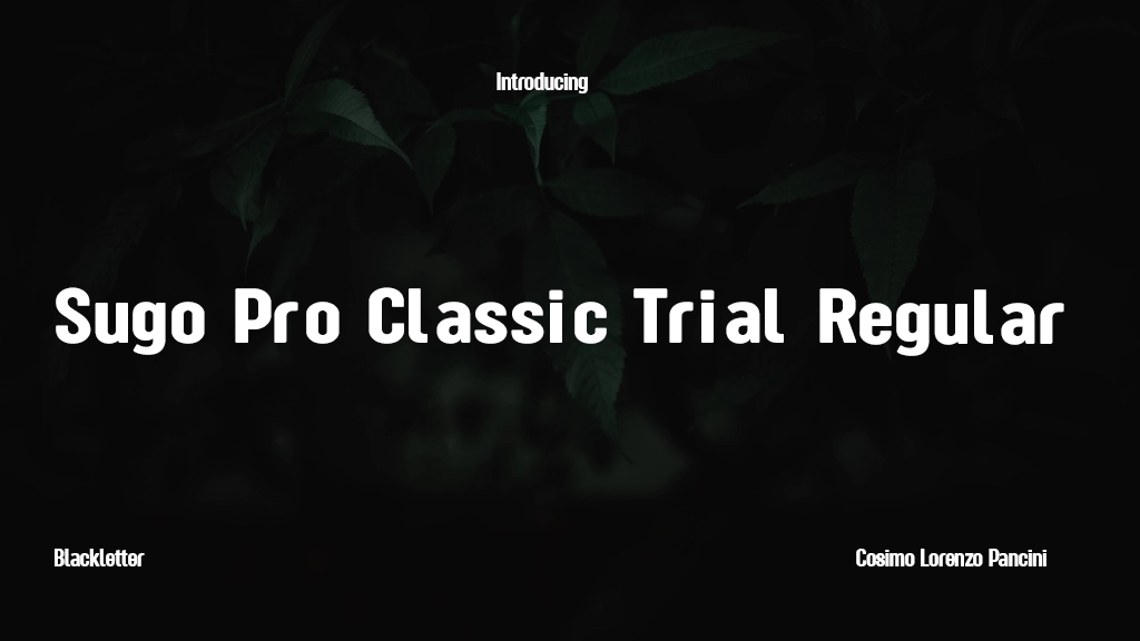 Sugo Pro Classic Trial Regular Font Sample Image 1