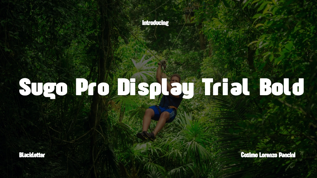 Sugo Pro Display Trial Bold Font Sample Image 1