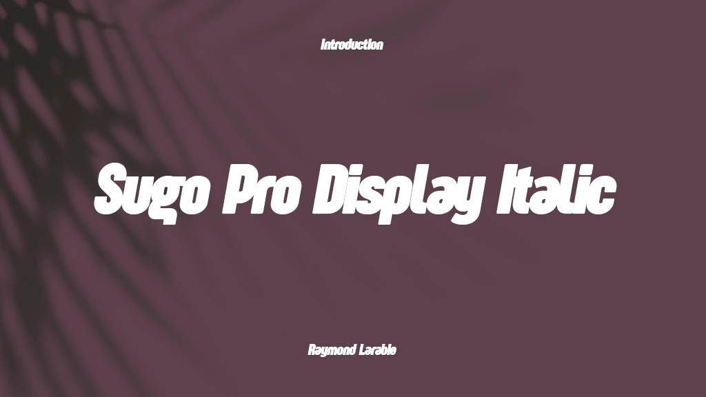 Sugo Pro Display Trial Italic Font Sample Image 1