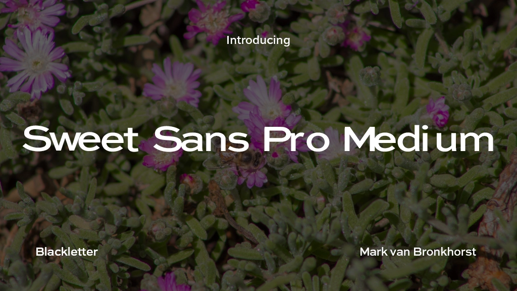 Sweet Sans Pro Medium Font Sample Image 1