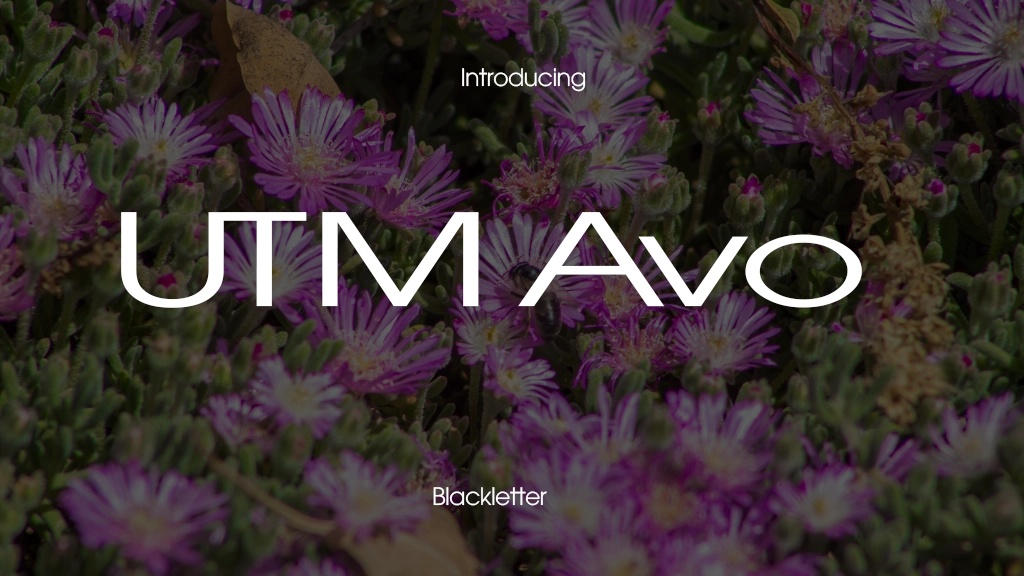 UTM Avo Font Sample Image 1