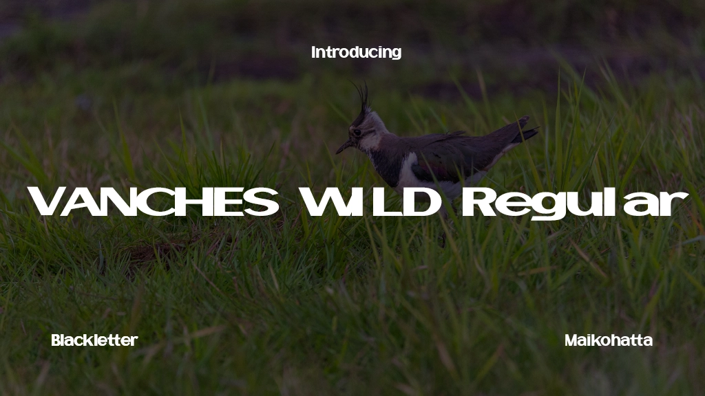 VANCHES WILD Regular Font Sample Image 1